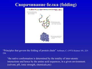 Сворачивание белка (folding)
“Principles that govern the folding of protein chain” Anfinsen, C. (1973) Science 181, 223-
230.
“the native conformation is determined by the totality of inter-atomic
interactions and hence by the amino acid sequences, in a given environment.
(solvent, pH, ionic strength, chemicals,etc)
 