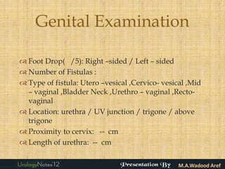 Genital Examination

 Foot Drop( /5): Right –sided / Left – sided
 Number of Fistulas :
 Type of fistula: Utero –vesical ,Cervico- vesical ,Mid
  – vaginal ,Bladder Neck ,Urethro – vaginal ,Recto-
  vaginal
 Location: urethra / UV junction / trigone / above
  trigone
 Proximity to cervix: -- cm
 Length of urethra: -- cm
 