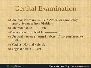 Genital Examination
 Urethra: Normal/ fistula / Absent or completely
  open / Separate from bladder :
 Urethral fistula        cm
 Separation from bladder -----------cm
 Urethral meatus : Normal /absent / not connected to
  urethra
 Vagina : Normal / fistula
 Vaginal fistula -----cm
 