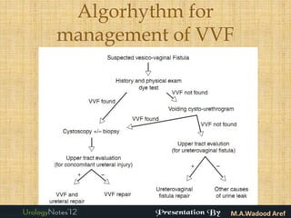 Algorhythm for
management of VVF
       
 