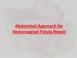 Vesico-Vaginal Fistula (VVF)