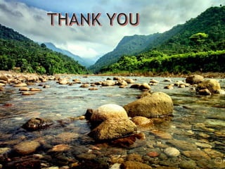 Vesico-Vaginal Fistula (VVF)