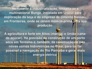 No tocante à industrialização, ressalta-se a multinacional Bunge, instalada em Uruçuí para exploração da soja e da empresa de cimento Nassau, em Fronteiras, onde se obtém matéria-prima para sua produção. A agricultura é forte em Altos (manga) e União (cana-de-açúcar). Há previsão da construção de um porto seco em Teresina e, também, da construção de oito novas usinas hidrelétricas no Piauí, para tornar possível a navegação do Rio Parnaíba e gerar mais energia elétrica . 