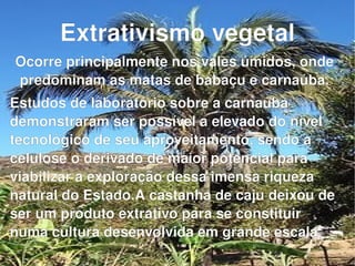 Extrativismo vegetal Ocorre principalmente nos vales úmidos, onde predominam as matas de babaçu e carnaúba. Estudos de laboratório sobre a carnaúba demonstraram ser possível a elevado do nível tecnológico de seu aproveitamento, sendo a celulose o derivado de maior potencial para viabilizar a exploração dessa imensa riqueza natural do Estado.A castanha de caju deixou de ser um produto extrativo para se constituir numa cultura desenvolvida em grande escala. 