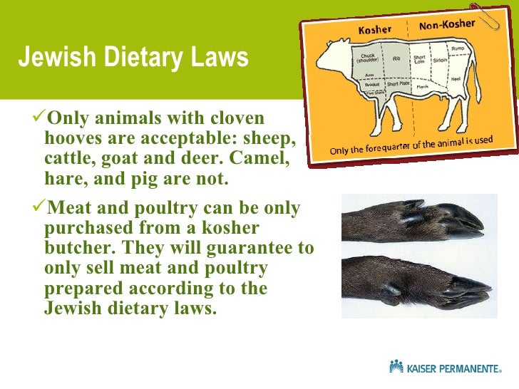 Acceptable Foods For Kosher Diet Acceptable Foods For Kosher Diet