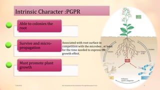 Bio stimulation & Bio remediation Through Rhizosphere Technology | PPTX