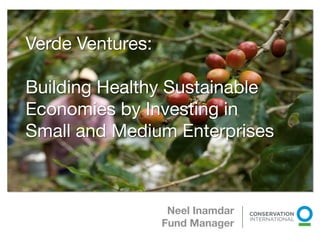 Verde Ventures:

Building Healthy Sustainable
Economies by Investing in
Small and Medium Enterprises 

                                Cheung 2009




                Neel Inamdar
               Fund Manager
 