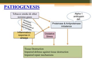 PATHOGENESIS
Tobacco smoke & other
noxious gases
Inflammatory
response in
airways
Tissue Destruction
Impaired defense against tissue destruction
Impaired repair mechanisms
Proteinase & Antiproteinase
imbalance
Oxidative
Stress
Alpha 1
antitrypsin
def.
 