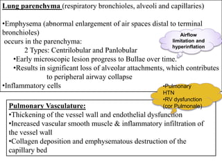 Lung parenchyma (respiratory bronchioles, alveoli and capillaries)
•Emphysema (abnormal enlargement of air spaces distal to terminal
bronchioles)
occurs in the parenchyma:
2 Types: Centrilobular and Panlobular
•Early microscopic lesion progress to Bullae over time.
•Results in significant loss of alveolar attachments, which contributes
to peripheral airway collapse
•Inflammatory cells
Pulmonary Vasculature:
•Thickening of the vessel wall and endothelial dysfunction
•Increased vascular smooth muscle & inflammatory infiltration of
the vessel wall
•Collagen deposition and emphysematous destruction of the
capillary bed
Airflow
limitation and
hyperinflation
•Pulmonary
HTN
•RV dysfunction
(cor Pulmonale)
 