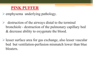  emphysema underlying pathology.
 destruction of the airways distal to the terminal
bronchiole - destruction of the pulmonary capillary bed
& decrease ability to oxygenate the blood.
 lesser surface area for gas exchange, also lesser vascular
bed but ventilation-perfusion mismatch lower than blue
bloaters.
PINK PUFFER
 