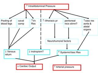  IntraAbdominal Pressure
Pooling of
blood legs
caval
comp
Vn
Res
 I/thoracic pr peritoneal
recs stimn?
vasc res
aorta &
abdal
organs
Neurohumoral factors
 Venous
return
 inotropism?  SystemicVasc Res
 Cardiac Output  Arterial pressure
 