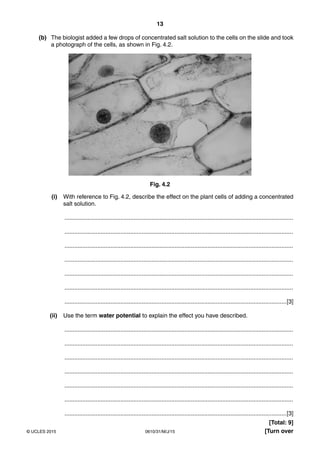 13
0610/31/M/J/15© UCLES 2015 [Turn over
(b) The biologist added a few drops of concentrated salt solution to the cells on the slide and took
a photograph of the cells, as shown in Fig. 4.2.
Fig. 4.2
(i) With reference to Fig. 4.2, describe the effect on the plant cells of adding a concentrated
salt solution.
...........................................................................................................................................
...........................................................................................................................................
...........................................................................................................................................
...........................................................................................................................................
...........................................................................................................................................
...........................................................................................................................................
.......................................................................................................................................[3]
(ii) Use the term water potential to explain the effect you have described.
...........................................................................................................................................
...........................................................................................................................................
...........................................................................................................................................
...........................................................................................................................................
...........................................................................................................................................
...........................................................................................................................................
.......................................................................................................................................[3]
[Total: 9]
 
