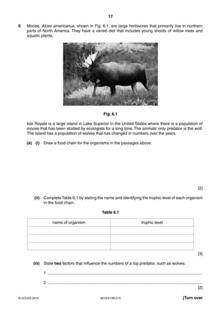 17
0610/31/M/J/15© UCLES 2015 [Turn over
6 Moose, Alces americanus, shown in Fig. 6.1, are large herbivores that primarily live in northern
parts of North America. They have a varied diet that includes young shoots of willow trees and
aquatic plants.
Fig. 6.1
Isle Royale is a large island in Lake Superior in the United States where there is a population of
moose that has been studied by ecologists for a long time. The animals’ only predator is the wolf.
The island has a population of wolves that has changed in numbers over the years.
(a) (i) Draw a food chain for the organisms in the passages above.
[2]
(ii) Complete Table 6.1 by stating the name and identifying the trophic level of each organism
in the food chain.
Table 6.1
name of organism trophic level
[3]
(iii) State two factors that influence the numbers of a top predator, such as wolves.
1 ........................................................................................................................................
2 ........................................................................................................................................
[2]
 