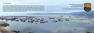 · Ruta do mexillón
Con la Ruta do mexillón podrás descubrir paso a paso el proceso de cultivo de este molusco, uno
de los signos de identidad de la ría de Arousa, así como diversos aspectos de la cultura mejillonera
de Boiro, pueblo el nuestro de gran tradición marinera. A través de ella, conocerás la riqueza de las
aguas de la ría de Arousa, ecosistema marino más rico del mundo, verás de cerca una batea y una
embarcación mejillonera y conocerás nuestros más bellos enclaves, que te ayudarán a conocer la
historia y costumbres de esta zona acariciada por el mar.
· Tournautic&Fishing 655 559 100
· Hydronauta 659 582 138
· Mar de Aguiño 619 978 390
+ info: Mancomunidade Arousa Norte 981 845 236
 
