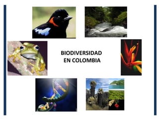 BIODIVERSIDAD
EN COLOMBIA
 