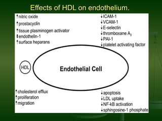 Effects of HDL on endothelium.Effects of HDL on endothelium.
 