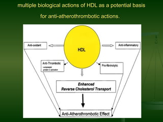 multiple biological actions of HDL as a potential basismultiple biological actions of HDL as a potential basis
for anti-atherothrombotic actions.for anti-atherothrombotic actions.
 