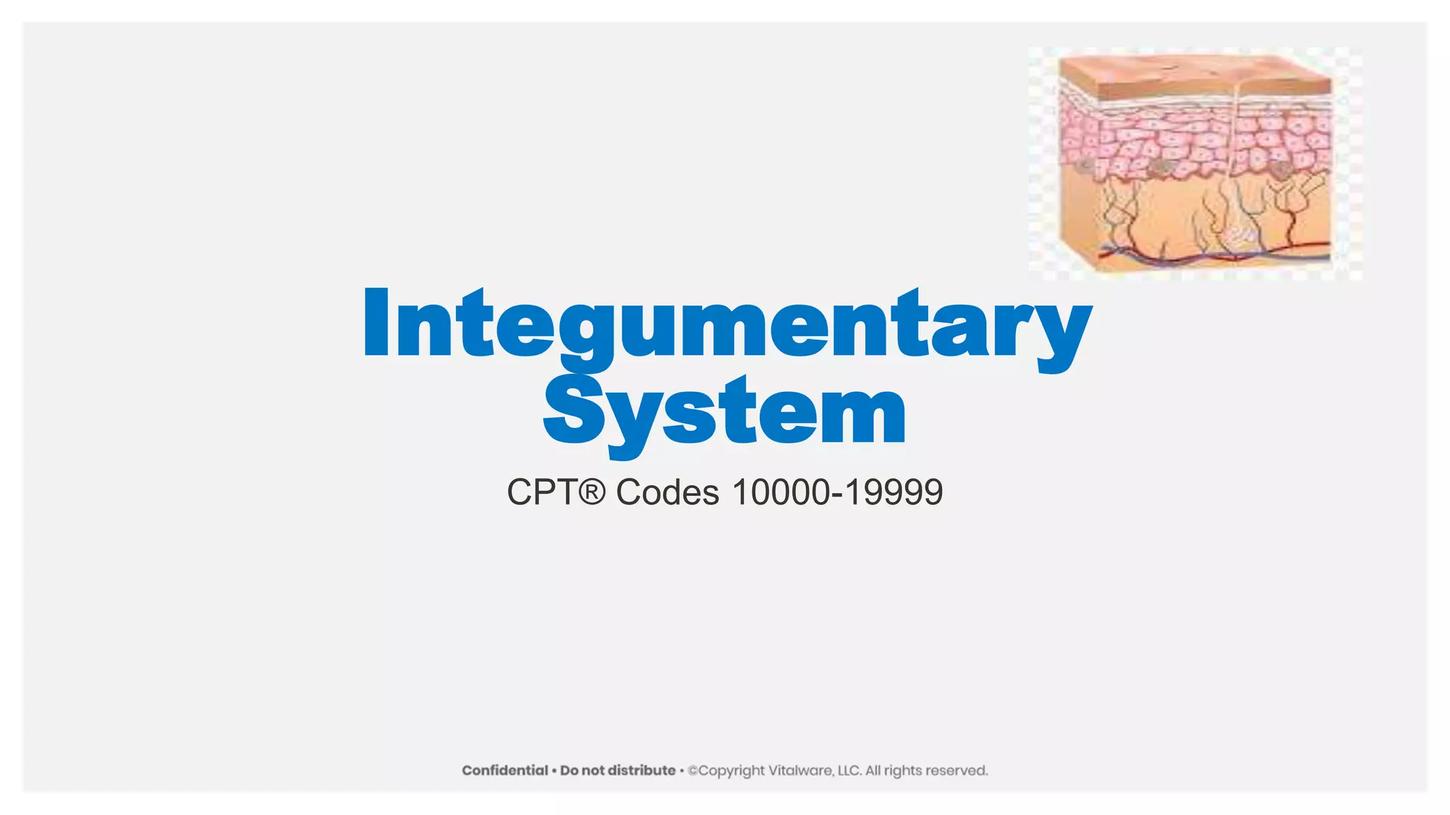 Integumentary
System
CPT® Codes 10000-19999
 