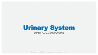 Urinary System
CPT® Codes 50000-53999
 