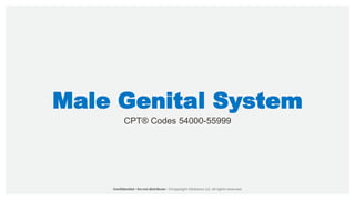 Male Genital System
CPT® Codes 54000-55999
 