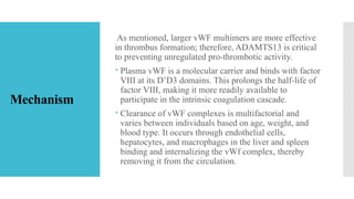Comprehensive Overview of Von Willebrand Factor and Primary Hemostasis ...