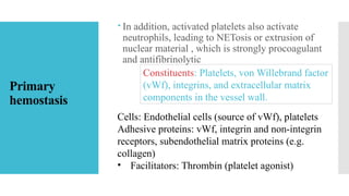 Comprehensive Overview of Von Willebrand Factor and Primary Hemostasis ...
