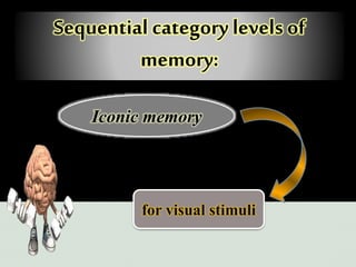 Sequential category levels of
memory:
Iconic memory
for visual stimuli
 