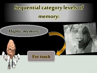 Sequential category levels of
memory:
Haptic memory
For touch
 