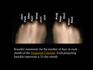 Knuckle mnemonic for the number of days in each
month of the Gregorian Calendar. Each projecting
knuckle represents a 31-day month.
 