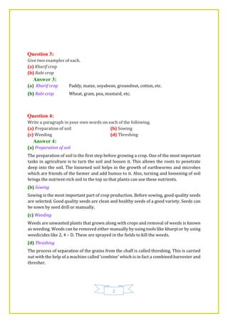2
Question 3:
Give two examples of each.
(a) Kharif crop
(b) Rabi crop
Answer 3:
(a) Kharif crop Paddy, maize, soyabean, groundnut, cotton, etc.
(b) Rabi crop Wheat, gram, pea, mustard, etc.
Question 4:
Write a paragraph in your own words on each of the following.
(a) Preparation of soil (b) Sowing
(c) Weeding (d) Threshing
Answer 4:
(a) Preparation of soil
The preparation of soil is the first step before growing a crop. One of the most important
tasks in agriculture is to turn the soil and loosen it. This allows the roots to penetrate
deep into the soil. The loosened soil helps in the growth of earthworms and microbes
which are friends of the farmer and add humus to it. Also, turning and loosening of soil
brings the nutrient-rich soil to the top so that plants can use these nutrients.
(b) Sowing
Sowing is the most important part of crop production. Before sowing, good quality seeds
are selected. Good quality seeds are clean and healthy seeds of a good variety. Seeds can
be sown by seed drill or manually.
(c) Weeding
Weeds are unwanted plants that grown along with crops and removal of weeds is known
as weeding. Weeds can be removed either manually by using tools like khurpi or by using
weedicides like 2, 4 – D. These are sprayed in the fields to kill the weeds.
(d) Threshing
The process of separation of the grains from the chaff is called threshing. This is carried
out with the help of a machine called ‘combine’ which is in fact a combined harvester and
thresher.
 