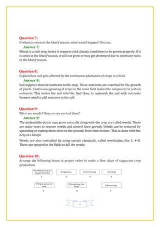 4
Question 7:
If wheat is sown in the kharif season, what would happen? Discuss.
Answer 7:
Wheat is a rabi crop, hence it requires cold climatic conditions to be grown properly. If it
is sown in the kharif season, it will not grow or may get destroyed due to excessive rains
in the kharif season.
Question 8:
Explain how soil gets affected by the continuous plantation of crops in a field.
Answer 8:
Soil supplies mineral nutrients to the crop. These nutrients are essential for the growth
of plants. Continuous growing of crops in the same field makes the soil poorer in certain
nutrients. This makes the soil infertile. And then, to replenish the soil with nutrients
farmers need to add manures to the soil.
Question 9:
What are weeds? How can we control them?
Answer 9:
The undesirable plants may grow naturally along with the crop are called weeds. There
are many ways to remove weeds and control their growth. Weeds can be removed by
uprooting or cutting them close to the ground, from time to time. This is done with the
help of a khurpi.
Weeds are also controlled by using certain chemicals, called weedicides, like 2, 4–D.
These are sprayed in the fields to kill the weeds.
Question 10:
Arrange the following boxes in proper order to make a flow chart of sugarcane crop
production.
 