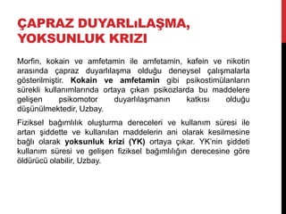ÇAPRAZ DUYARLıLAŞMA,
YOKSUNLUK KRIZI
Morfin, kokain ve amfetamin ile amfetamin, kafein ve nikotin
arasında çapraz duyarlılaşma olduğu deneysel çalışmalarla
gösterilmiştir. Kokain ve amfetamin gibi psikostimülanların
sürekli kullanımlarında ortaya çıkan psikozlarda bu maddelere
gelişen psikomotor duyarlılaşmanın katkısı olduğu
düşünülmektedir, Uzbay.
Fiziksel bağımlılık oluşturma dereceleri ve kullanım süresi ile
artan şiddette ve kullanılan maddelerin ani olarak kesilmesine
bağlı olarak yoksunluk krizi (YK) ortaya çıkar. YK‟nin şiddeti
kullanım süresi ve gelişen fiziksel bağımlılığın derecesine göre
öldürücü olabilir, Uzbay.
 
