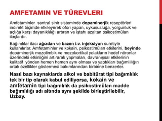 AMFETAMIN VE TÜREVLERI
Amfetaminler santral sinir sisteminde dopaminerjik reseptörleri
indirekt biçimde etkileyerek öfori yapan, uykusuzluğa, yorgunluk ve
açlığa karşı dayanıklılığı artıran ve iştahı azaltan psikostimülan
ilaçlardır.
Bağımlılar ilacı ağızdan ve bazen i.v. injeksiyon suretiyle
kullanılırlar. Amfetaminler ve kokain, psikostimülan etkilerini, beyinde
dopaminerjik mezolimbik ve mezokortikal yolakların hedef nöronlar
üzerindeki etkinliğini artırarak yapmaları, davranışsal etkilerinin
kalitatif yönden hemen hemen aynı olması ve yaptıkları bağımlılığın
ortak özellikler göstermesi bakımlarından birbirine benzerler.
Nasıl bazı kaynaklarda alkol ve babitürat tipi bağımlılık
tek bir tip olarak kabul ediliyorsa, kokain ve
amfetamin tipi bağımlılık da psikostimülan madde
bağımlılığı adı altında aynı şekilde birleştirilebilir,
Uzbay.
 