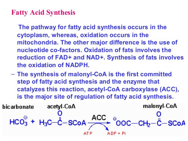 sythesis of the sythesis of the