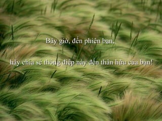 Bây giờ, đến phiên bạn,  hãy chia sẻ thông điệp này đến thân hữu của bạn! 