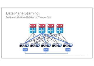 Data Plane Learning
Dedicated Multicast Distribution Tree per VNI
VM1 VM3
VM2
V V V
V
V
10
 