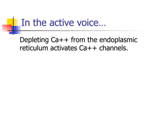 In the active voice… 
Depleting Ca++ from the endoplasmic 
reticulum activates Ca++ channels. 
 