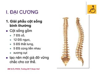 BM VLTL-PHCN, Trường DH Y Dược Huế
I. ĐẠI CƯƠNG
1. Giải phẫu cột sống
bình thường
 Cột sống gồm
 7 ĐS cổ,
 12 ĐS ngực,
 5 ĐS thắt lưng,
 5 ĐS cùng liền nhau
 xương cụt
 tạo nên một giá đỡ vững
chắc cho cơ thể.
 