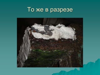 То же в разрезе
 