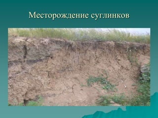 Месторождение суглинков
 