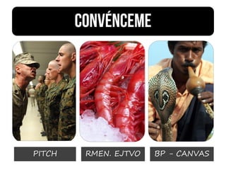 PITCH RMEN. EJTVO BP - CANVAS
 