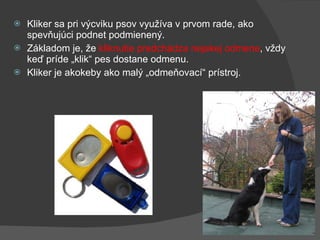 Kliker sa pri výcviku psov využíva v prvom rade, ako spevňujúci podnet podmienený.  Základom je, že  kliknutie predchádza nejakej odmene , vždy keď príde „klik“ pes dostane odmenu.  Kliker je akokeby ako malý „odmeňovací“ prístroj. 