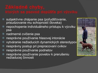 Základné chyby,  ktorých sa psovod dopúšťa pri výcviku subjektívne chápanie psa (poľudšťovanie, prisudzovanie mu schopností človeka) nepochopenie individuálneho prístupu k výcviku psa nadmerné cvičenie psa nesprávne používanie hlasovej intonácie vytváranie nežiaducich dynamických stereotypov nesprávny postup pri prepracovaní cvikov nesprávne používanie podnetov nesprávne používanie povelov k prerušeniu nežiaducej činnosti 