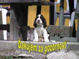 Ďakujem za pozornosť 