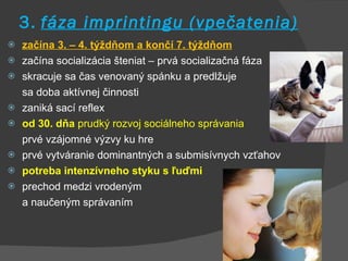 3.   fáza imprintingu (vpečatenia) začína 3. – 4. týždňom a končí 7. týždňom začína socializácia šteniat – prvá socializačná fáza skracuje sa čas venovaný spánku a predlžuje  sa doba aktívnej činnosti zaniká sací reflex od 30. dňa  prudký rozvoj sociálneho správania prvé vzájomné výzvy ku hre prvé vytváranie dominantných a submisívnych vzťahov potreba intenzívneho styku s ľuďmi prechod medzi vrodeným  a naučeným správaním 