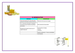 EL MONOCULTIVO
VENTAJAS DESVENTAJAS
Costos de producción y alto desarrollo
productivo (Cereales-productos básicos)
Reducci...