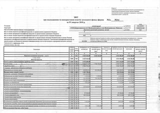 Vykoristania kochtiv 2018