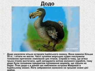 Додо

•

Додо населяли кілька островів Індійського океану. Вони важили більше
20 кг, і літати не могли. Часті зупинки морських суден послужили
головною причиною зникнення цих птахів. Справа в тому, що м'яса
трьох птахів вистачало, щоб нагодувати екіпаж великого корабля, тому
додо були головним предметом полювання моряків, що зійшли на
берег. Птах додо є в даний час емблемою острова Маврикій в
Індійському океані. Його зображення нанесено на грошові знаки цієї
країни.

 