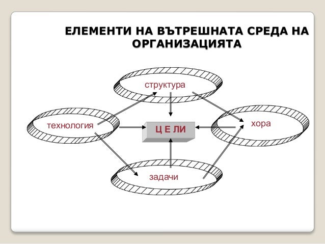 Външна и вътрешна среда на организацията