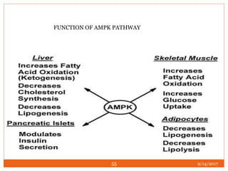 Umpk Function secondary messengers and intracellular signaling | PPTX
